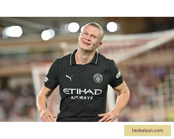 哈兰德高空争顶